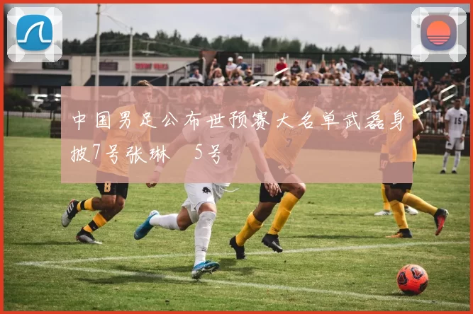 中国男足公布世预赛大名单武磊身披7号张琳芃5号
