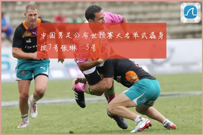 中国男足公布世预赛大名单武磊身披7号张琳芃5号