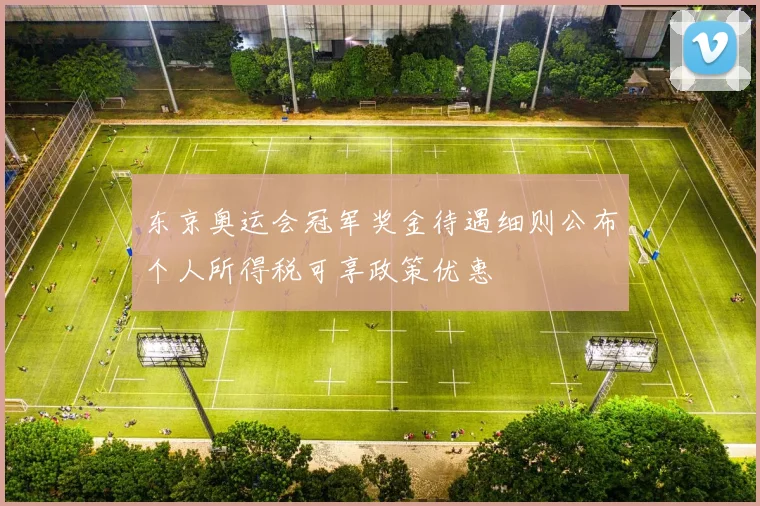 东京奥运会冠军奖金待遇细则公布个人所得税可享政策优惠