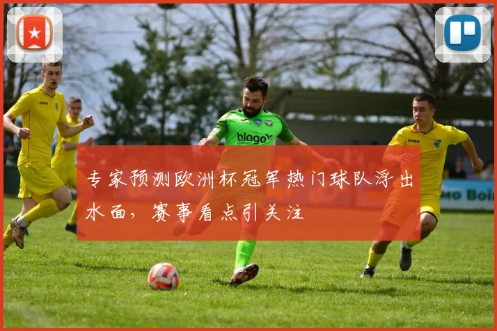 专家预测欧洲杯冠军热门球队浮出水面，赛事看点引关注