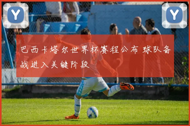 巴西卡塔尔世界杯赛程公布 球队备战进入关键阶段