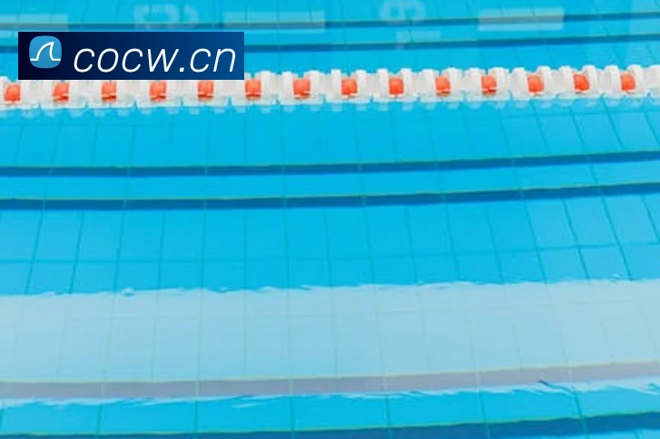体育App